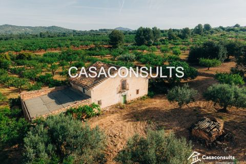 Landejendom i Les Useras, Castellon, Les Useras - € 66.000 | Ref: 293 - foto 2